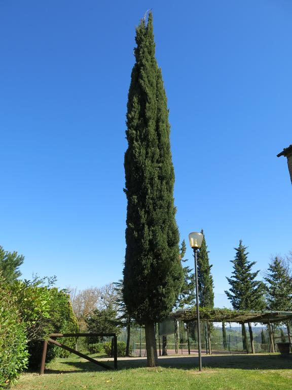 Agriturismo il Palagetto Pomarance Esterno foto