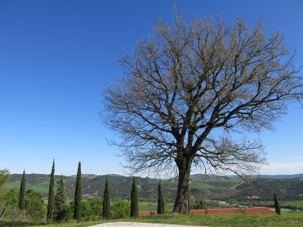 Agriturismo il Palagetto Pomarance Esterno foto